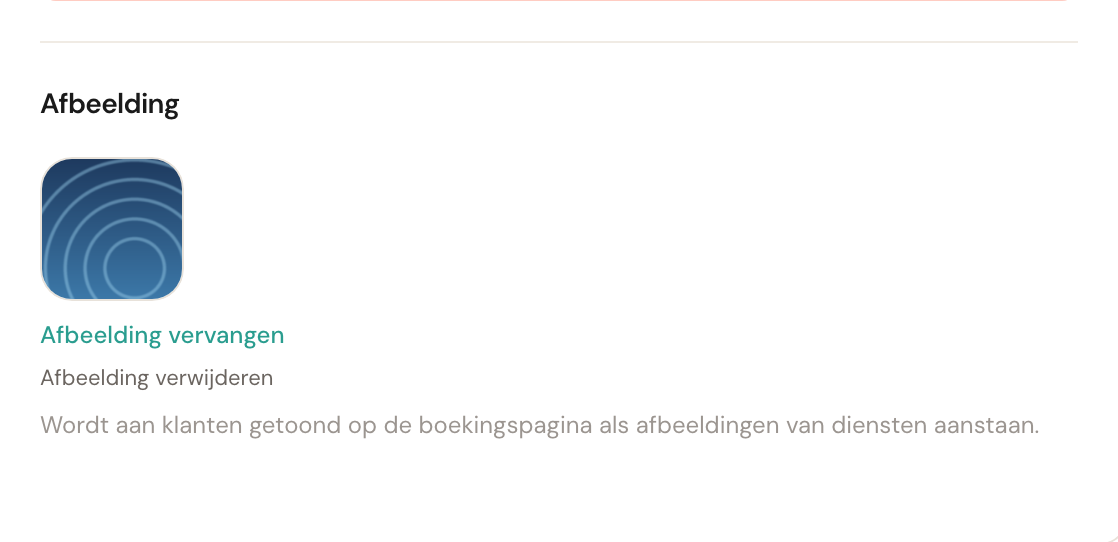 Het blok Afbeelding met een voorbeeld, de knoppen Afbeelding vervangen en Afbeelding verwijderen, en de toelichting eronder.