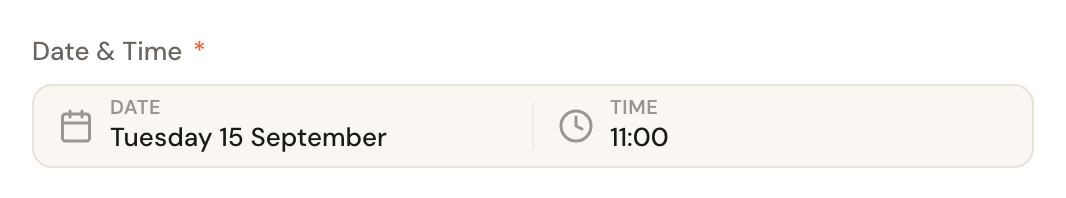 The Date and Time fields in edit mode.